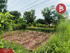 ขายที่ดิน เนื้อที่ 190 ตารางวา ยางตลาด กาฬสินธุ์-202509281630081759051808820.jpg