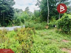 ขายที่ดิน เนื้อที่ 190 ตารางวา ยางตลาด กาฬสินธุ์-202509281630101759051810366.jpg