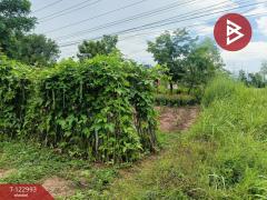 ขายที่ดิน เนื้อที่ 190 ตารางวา ยางตลาด กาฬสินธุ์-202509281630101759051810898.jpg