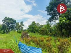 ขายที่ดิน เนื้อที่ 190 ตารางวา ยางตลาด กาฬสินธุ์-202509281630121759051812309.jpg