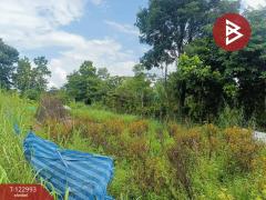 ขายที่ดิน เนื้อที่ 190 ตารางวา ยางตลาด กาฬสินธุ์-202509281630121759051812840.jpg