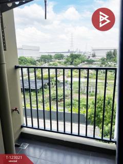 ขายโครงการพลัม คอนโด รังสิต อไลฟ์2 (Plum Condo Rangsit Alive2) ปทุมธานี-202509281736331759055793446.jpg