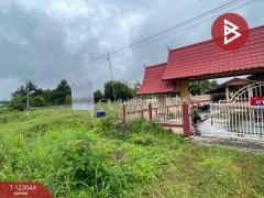 ขายบ้านเดี่ยวพร้อมที่ดิน เนื้อที่ 2 งาน นายม อำนาจเจริญ-202509281748301759056510352.jpg