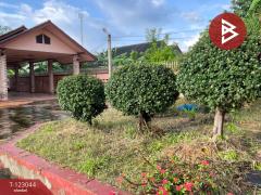 ขายบ้านเดี่ยวพร้อมที่ดิน เนื้อที่ 2 งาน นายม อำนาจเจริญ-202509281748311759056511404.jpg