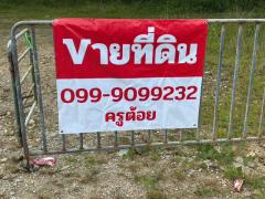 ขายที่ดิน ติดถนนเพชรเกษม อำเภอเมือง จังหวัดระนอง เนื้อที่ 10 ไร่ 65 ตารางวา