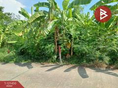 ขายที่ดิน-เนื้อที่-3-ไร่-35.6-ตร.วา-บางให