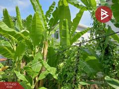 ขายที่ดิน เนื้อที่ 3 ไร่ 35.6 ตร.วา บางใหญ่ นนทบุรี-202509290906181759111578170.jpg