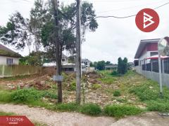 ขายที่ดิน เนื้อที่ 1 งาน 28.7 ตร.วา ท่าช้าง จันทบุรี-202509290955131759114513976.jpg