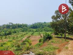 ขายที่ดิน เนื้อที่ 9 ไร่ 1 งาน 74 ตร.วา ท่าใหม่ จันทบุรี