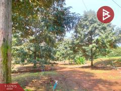 ขายที่ดิน เนื้อที่ 9 ไร่ 1 งาน 74 ตร.วา ท่าใหม่ จันทบุรี-202509291029241759116564756.jpg