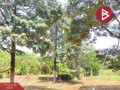 ขายที่ดิน เนื้อที่ 9 ไร่ 1 งาน 74 ตร.วา ท่าใหม่ จันทบุรี-202509291029251759116565289.jpg