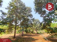 ขายที่ดิน เนื้อที่ 9 ไร่ 1 งาน 74 ตร.วา ท่าใหม่ จันทบุรี-202509291029251759116565874.jpg