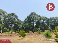 ขายที่ดิน เนื้อที่ 9 ไร่ 1 งาน 74 ตร.วา ท่าใหม่ จันทบุรี-202509291029261759116566398.jpg