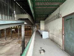 ขาย โรงงาน กิ่งแก้ว ใกล้บางนา-ตราด เหมาะทำ โรงงาน-โกดัง-202509291047371759117657898.jpg