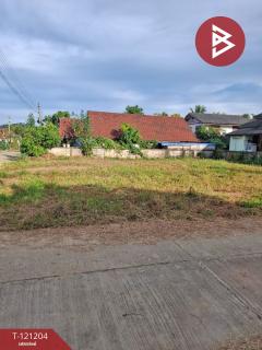 ขายที่ดิน เนื้อที่ 102 ตารางวา อ.เทิง เชียงราย ทำเลดี