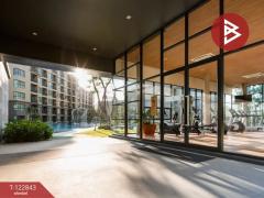 ขายคอนโด เรน ชะอำ-หัวหิน (Rain ChaAm-HuaHin) เพชรบุรี-202509291133071759120387810.jpg