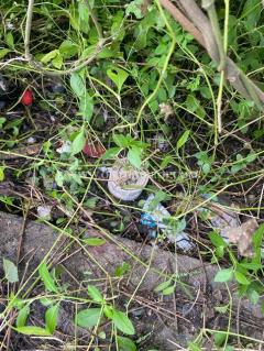 ที่ดิน ซอยรามอินทรา 58 ถนนรามอินทรา-202509291135401759120540315.jpg