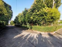 ขาย บ้านเดี่ยว สุวรรณรายา มายน์ เชียงราย ถนน บ้านฝั่งหมิ่น