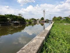 ขาย ที่ดิน ถนนสวนผัก ตลิ่งชัน 1-2-87 ไร่ ฮวงจุ้ยดีเยี่ยม | หน้าน้ำทิศเหนือ-202509291220051759123205322.jpg