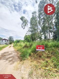 ขายที่ดิน-เนื้อที่-47-ตร.วา-บางละมุง-ช