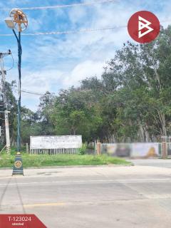 ขายที่ดิน เนื้อที่ 47 ตร.วา บางละมุง ชลบุรี-202509291240571759124457622.jpg