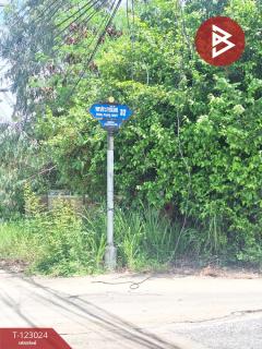 ขายที่ดิน เนื้อที่ 47 ตร.วา บางละมุง ชลบุรี-202509291240591759124459690.jpg