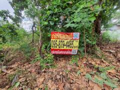 Vายต่ำกว่าประเมินที่‼️ดินเพชรเกษม 84 ตารางวาติดถนนคอนกรีตสาธารณะ สวัสดิการ 1 ซอย 1/13 หนองแขม กทม.