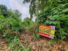 Vายต่ำกว่าประเมินที่‼️ดินเพชรเกษม 84 ตารางวาติดถนนคอนกรีตสาธารณะ สวัสดิการ 1 ซอย 1/13 หนองแขม กทม.-202509291312091759126329193.jpeg