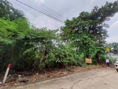 Vายต่ำกว่าประเมินที่‼️ดินเพชรเกษม 84 ตารางวาติดถนนคอนกรีตสาธารณะ สวัสดิการ 1 ซอย 1/13 หนองแขม กทม.-202509291312091759126329732.jpeg