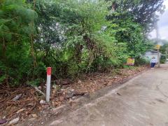 Vายต่ำกว่าประเมินที่‼️ดินเพชรเกษม 84 ตารางวาติดถนนคอนกรีตสาธารณะ สวัสดิการ 1 ซอย 1/13 หนองแขม กทม.-202509291312101759126330796.jpeg