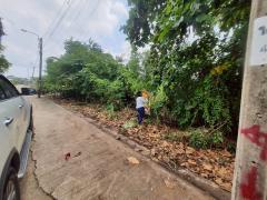 Vายต่ำกว่าประเมินที่‼️ดินเพชรเกษม 84 ตารางวาติดถนนคอนกรีตสาธารณะ สวัสดิการ 1 ซอย 1/13 หนองแขม กทม.-202509291312111759126331323.jpeg