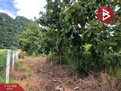 ขายที่ดินสวนเกษตรผสมผสาน เนื้อที่ 9 ไร่ 2 งาน 99.7 ตารางวา บ้านไร่ อุทัยธานี-202509291318421759126722613.jpg