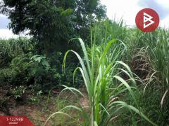 ขายที่ดินสวนเกษตรผสมผสาน เนื้อที่ 9 ไร่ 2 งาน 99.7 ตารางวา บ้านไร่ อุทัยธานี-202509291318431759126723140.jpg