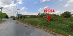 ให้เช่า ที่ดินนิคมลาดกระบัง ทำเลดี แปลงมุมสวย เหมาะสร้างโกดังเก็บของ  5-3-66 ไร่-202509291407081759129628922.jpg