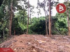 ขายที่ดิน เนื้อที่ 1 งาน 30 ตร.วา ท่าเสา อุตรดิตถ์-202509291450171759132217236.jpg