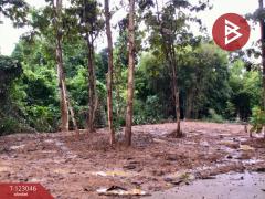 ขายที่ดิน เนื้อที่ 1 งาน 30 ตร.วา ท่าเสา อุตรดิตถ์-202509291450171759132217775.jpg