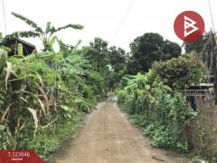 ขายที่ดิน เนื้อที่ 1 งาน 30 ตร.วา ท่าเสา อุตรดิตถ์-202509291450191759132219386.jpg