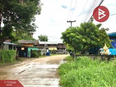 ขายที่ดิน เนื้อที่ 1 งาน 30 ตร.วา ท่าเสา อุตรดิตถ์-202509291450191759132219905.jpg