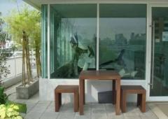 ให้เช่าคอนโด Silk Phaholyothin 3 (ซิลค์ พหลโยธิน 3) ขนาด 41 ตรม-202509291455551759132555510.jpg