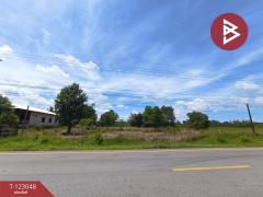 ขายที่ดิน เนื้อที่ 1 ไร่ ศรีวิไล บึงกาฬ