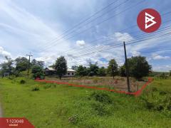 ขายที่ดิน เนื้อที่ 1 ไร่ ศรีวิไล บึงกาฬ-202509291500321759132832920.jpg