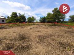 ขายที่ดิน เนื้อที่ 1 ไร่ ศรีวิไล บึงกาฬ-202509291500341759132834076.jpg