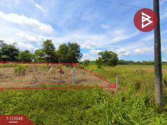 ขายที่ดิน เนื้อที่ 1 ไร่ ศรีวิไล บึงกาฬ-202509291500341759132834601.jpg