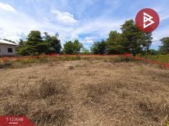 ขายที่ดิน เนื้อที่ 1 ไร่ ศรีวิไล บึงกาฬ-202509291500351759132835129.jpg