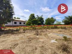 ขายที่ดิน เนื้อที่ 1 ไร่ ศรีวิไล บึงกาฬ-202509291500351759132835653.jpg