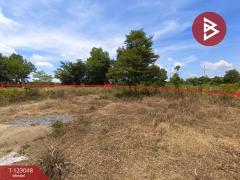 ขายที่ดิน เนื้อที่ 1 ไร่ ศรีวิไล บึงกาฬ-202509291500361759132836179.jpg