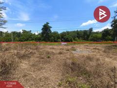 ขายที่ดิน เนื้อที่ 1 ไร่ ศรีวิไล บึงกาฬ-202509291500371759132837217.jpg