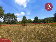 ขายที่ดิน เนื้อที่ 1 ไร่ ศรีวิไล บึงกาฬ-202509291500371759132837749.jpg