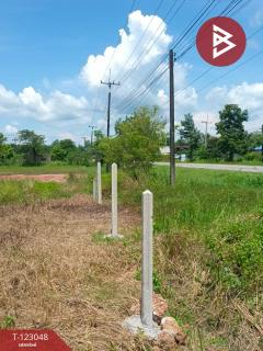 ขายที่ดิน เนื้อที่ 1 ไร่ ศรีวิไล บึงกาฬ-202509291500381759132838272.jpg