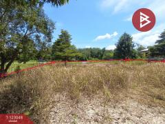 ขายที่ดิน เนื้อที่ 1 ไร่ ศรีวิไล บึงกาฬ-202509291500381759132838786.jpg